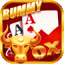 rummy free